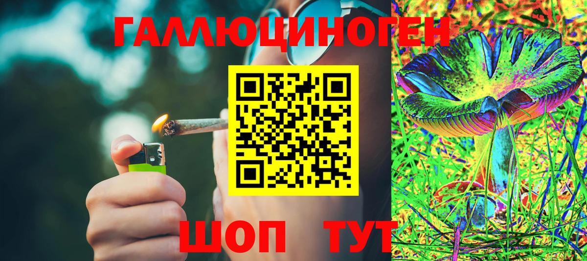 Псилоцибиновые грибы мицелий  Галлюциногенные грибы прущие грибы  Владимир  Вход с VPN 