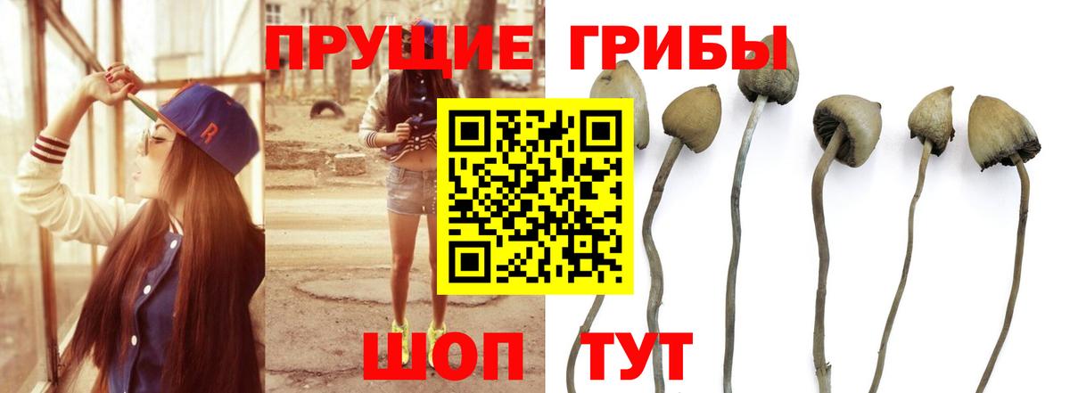 Галлюциногенные грибы ЛСД Владимир