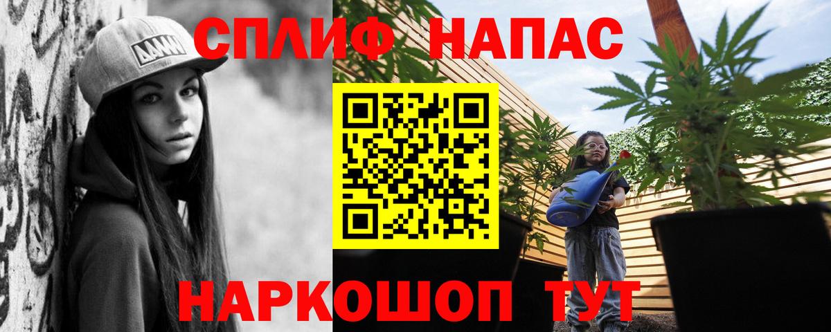 Бошки марихуана MAZAR Владимир